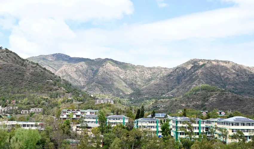 yspu-campus
